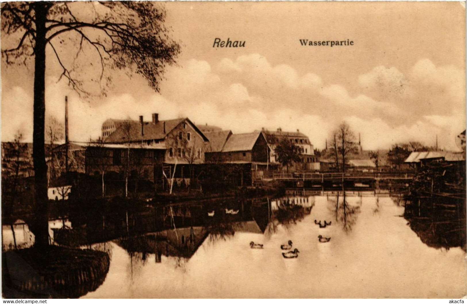 CPA AK Rehau Wasserpartie GERMANY (877848)
