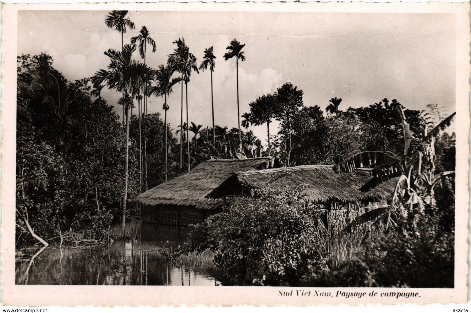 CPA AK SUD VIETNAM PAYSAGE DE CAMPAGNE VIETNAM INDOCHINA (1480801)