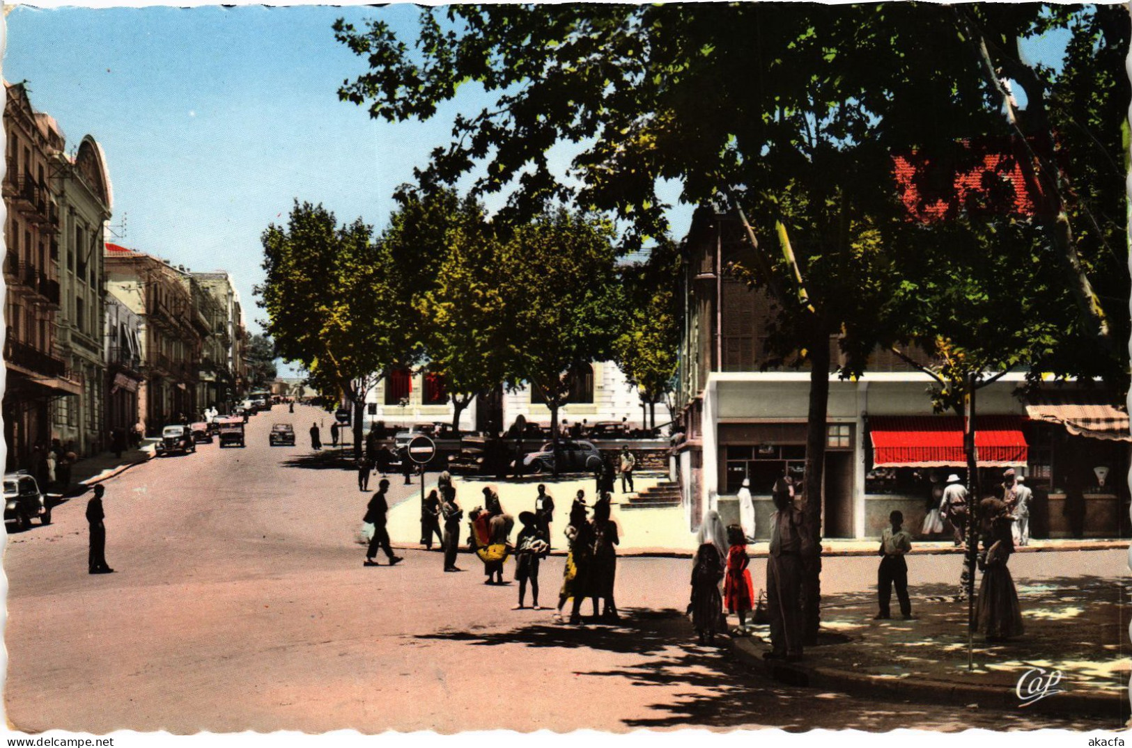 CPA AK TIARET Rue Cambon ALGERIA (1389141)