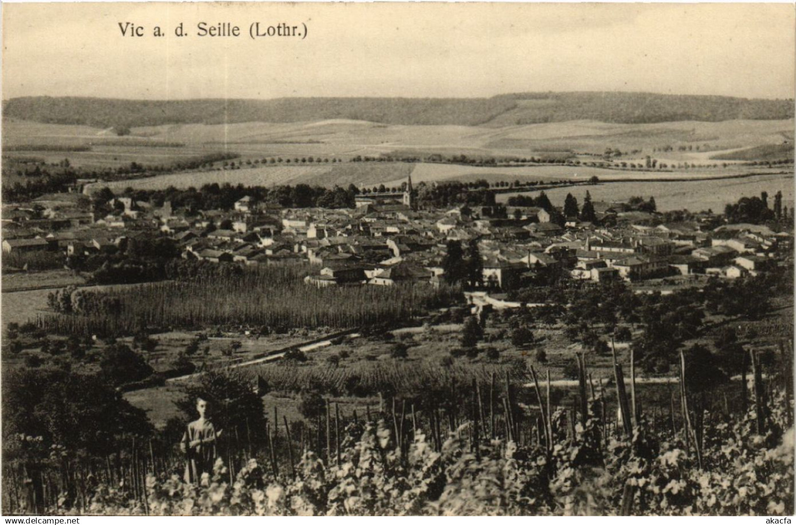 CPA AK VIC-sur-SEILLE - VIC a. d. SEILLE - Vue - Panorama (387873)