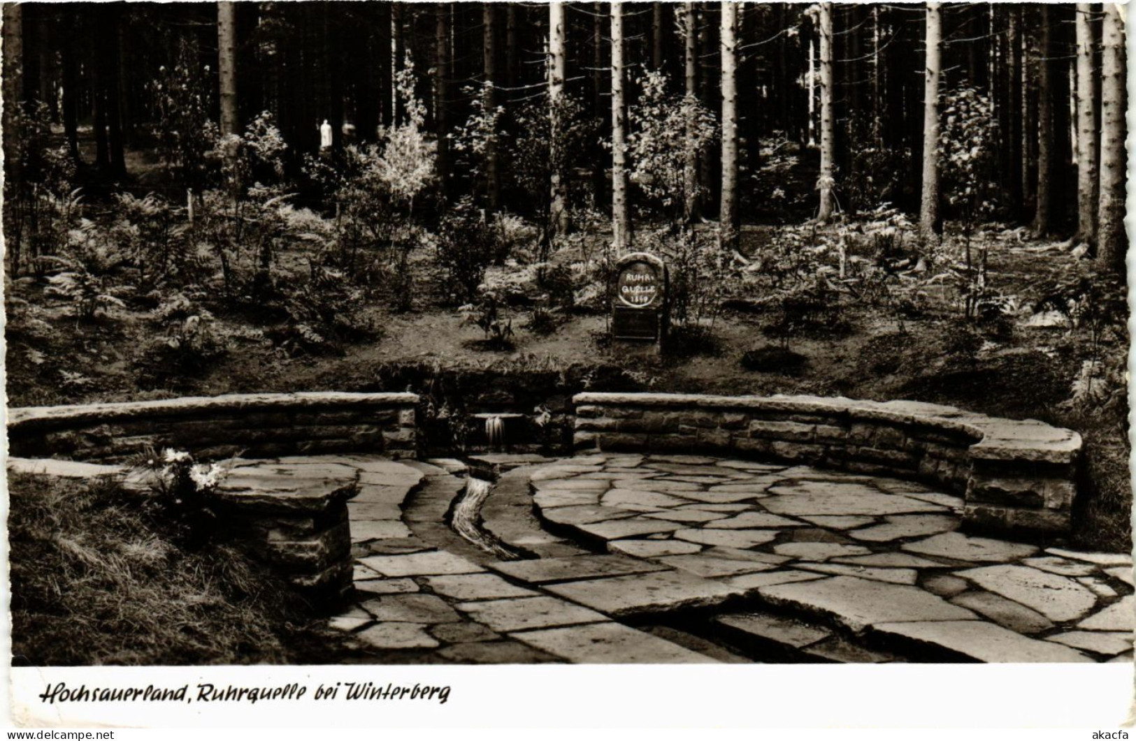 CPA AK Winterberg - Ruhrquelle bei Winterberg GERMANY (857914)