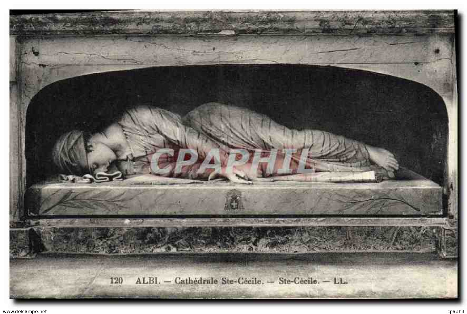CPA Albi Cathedrale Ste Cecile