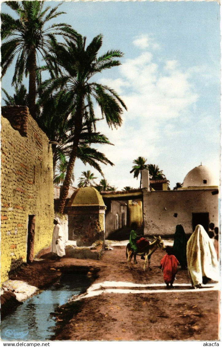 CPA ALGERIA BISKRA - Au Vieux BISKRA (794473)