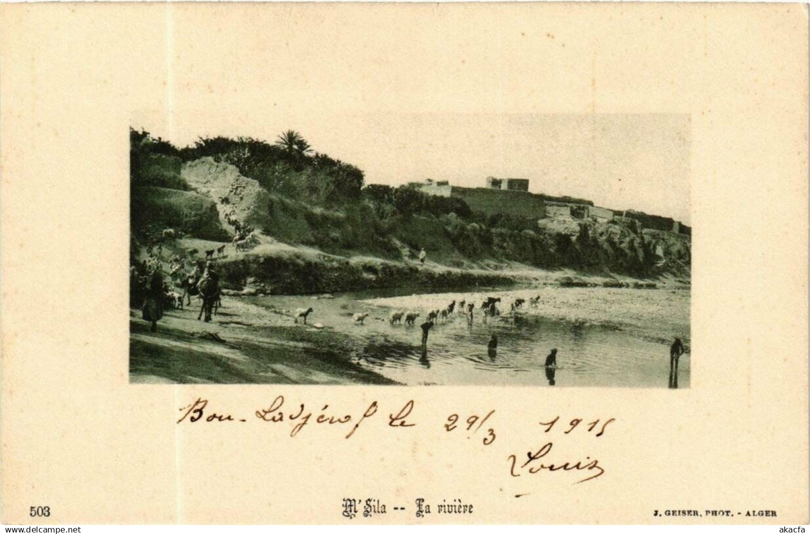 CPA ALGERIA Geiser 503 M'SILA La riviere (705836)