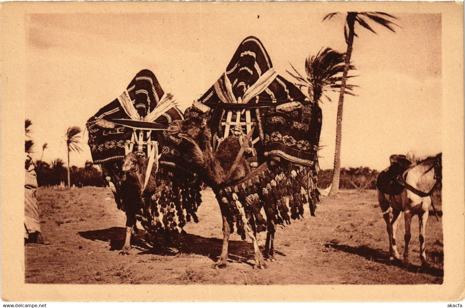 CPA ALGERIA GHARDAIA Les Bassours (1358279)