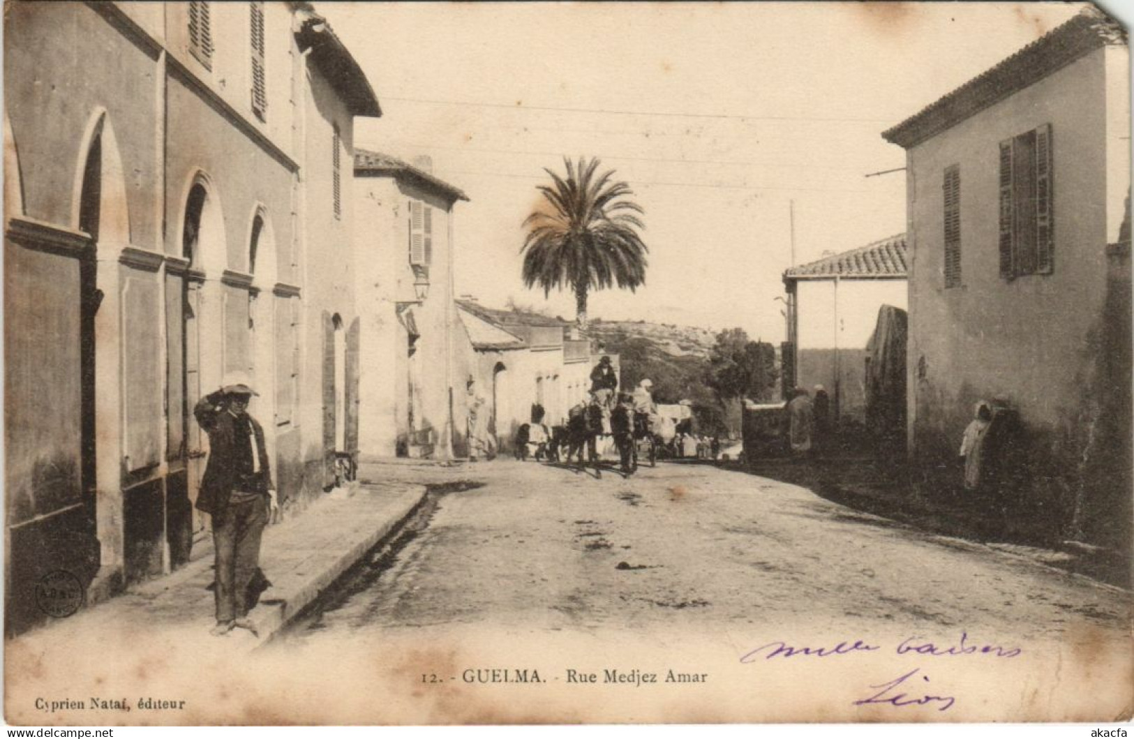 CPA ALGERIA GUELMA Rue Medjez Amar (1146446)