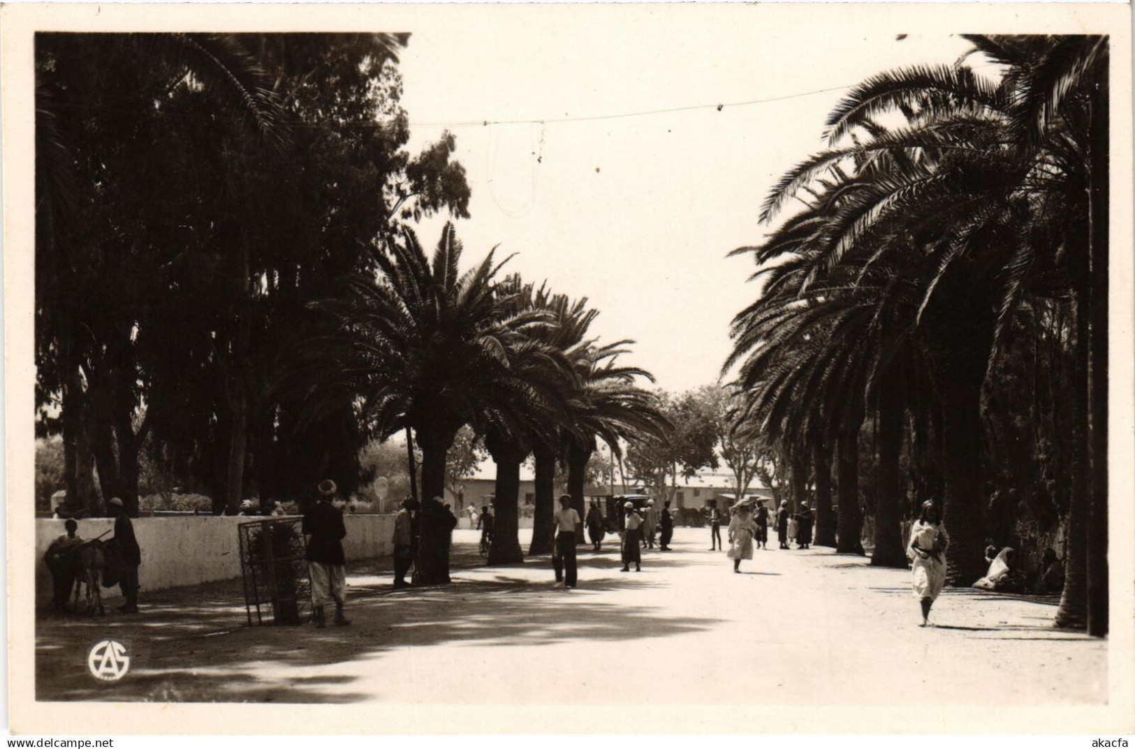 CPA ALGERIA SAIDA L'Avenue (1358154)
