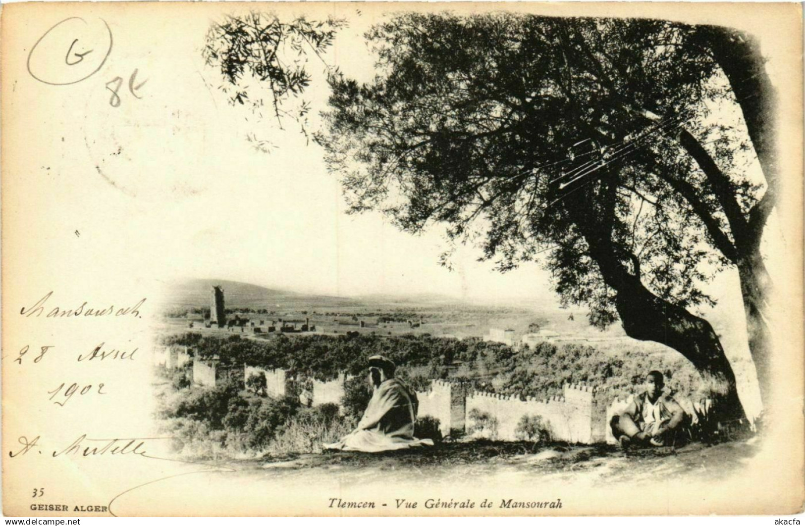 CPA ALGERIA Tlemcen Vue Generale de Mansourah (749015)