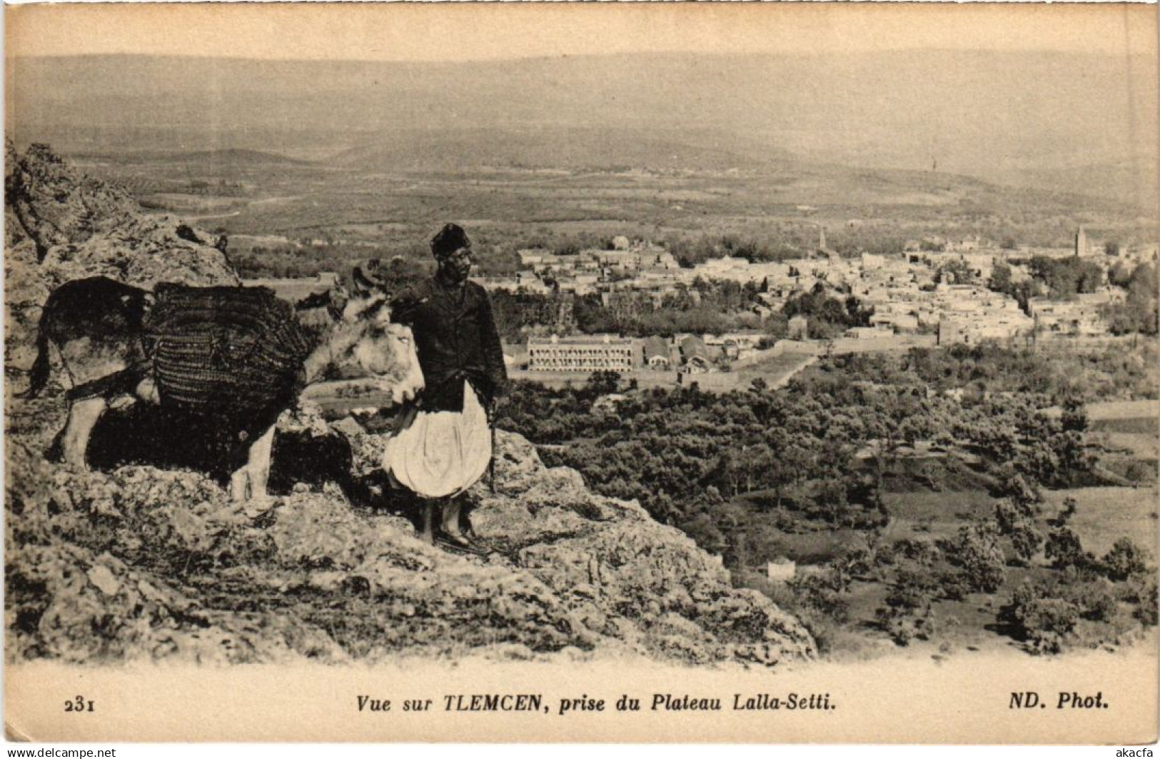 CPA ALGERIA TLEMCEN Vue sur la Tlemcen (1189049)