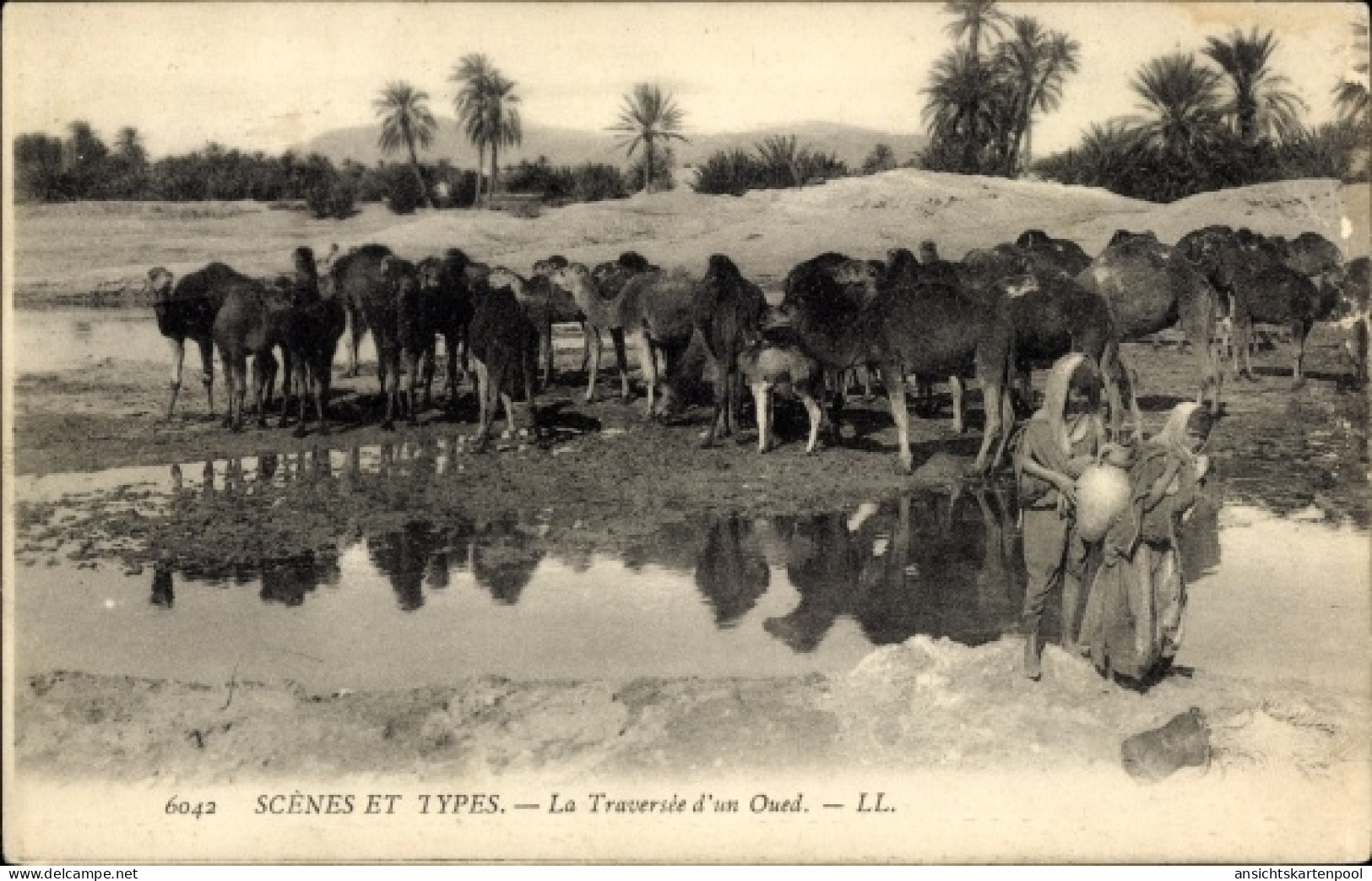 CPA Algerien, Szenen und Typen, Überquerung eines Wadi