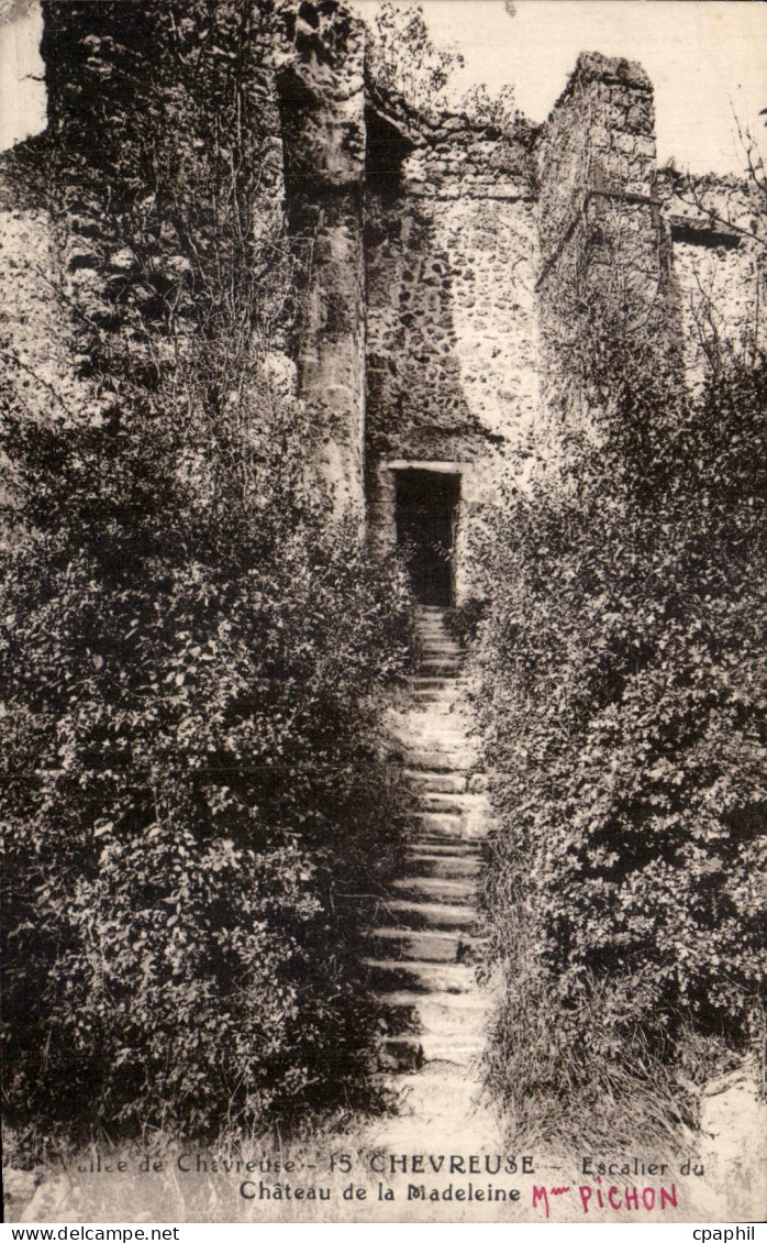 CPA Allee de Chevreuse Chevreuse Escalier du Chateau de la Madeleine