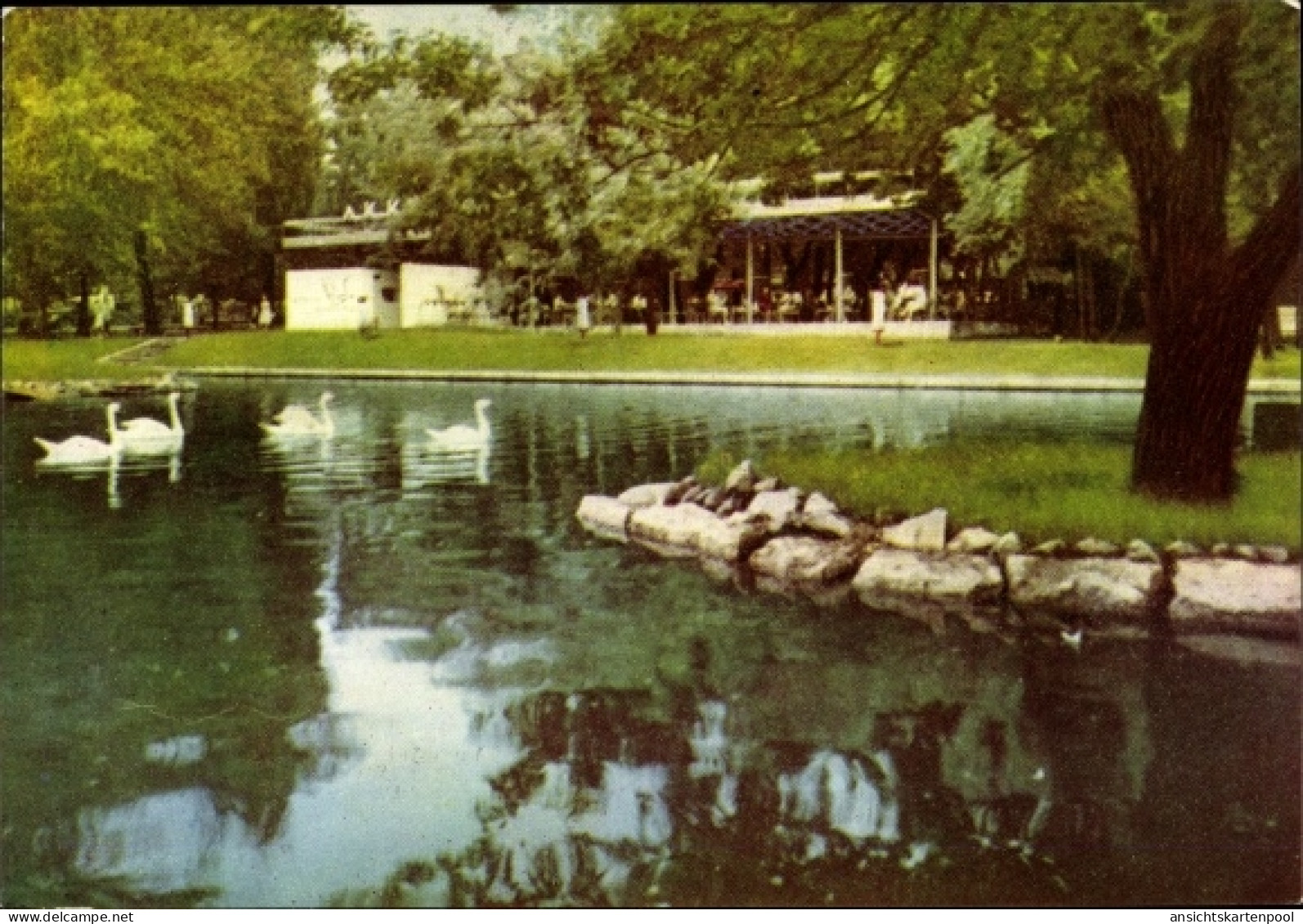 CPA Almaty Kasachstan, Café Akku, Schwäne