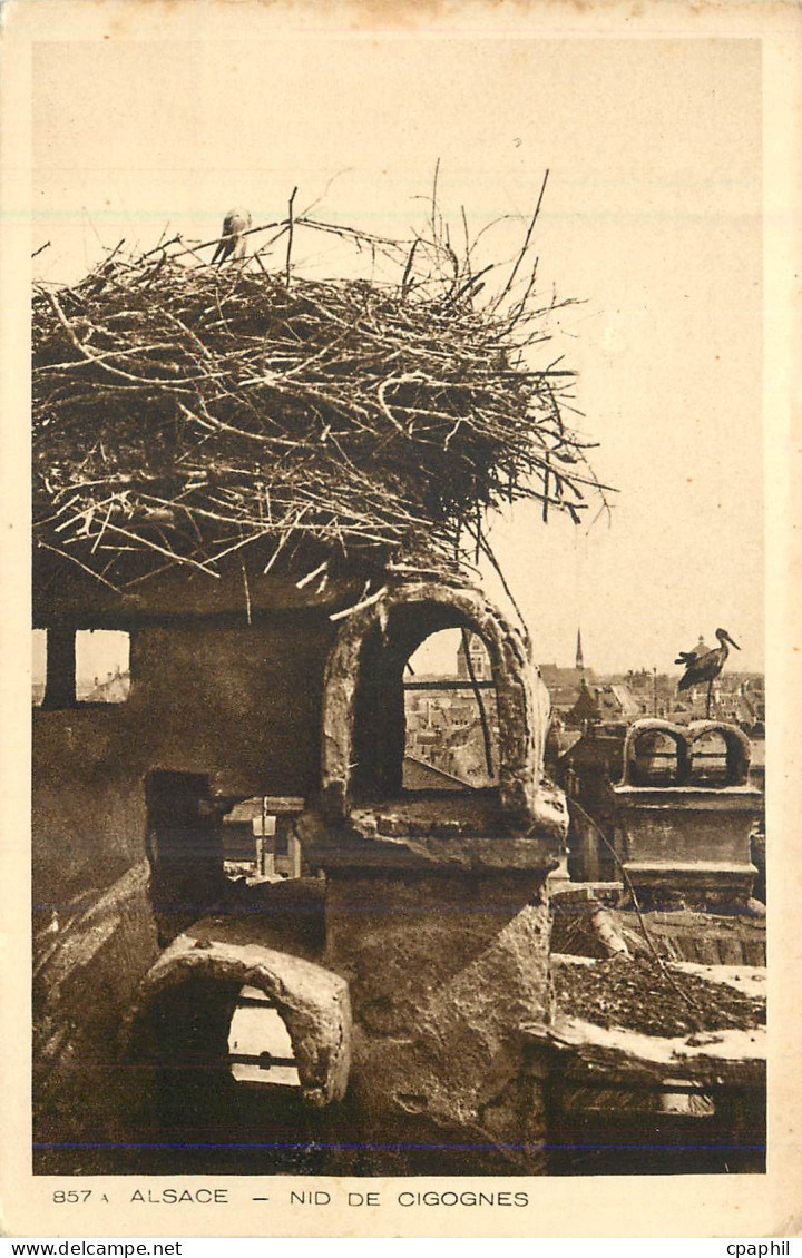 CPA Alsace Nid de Cigognes