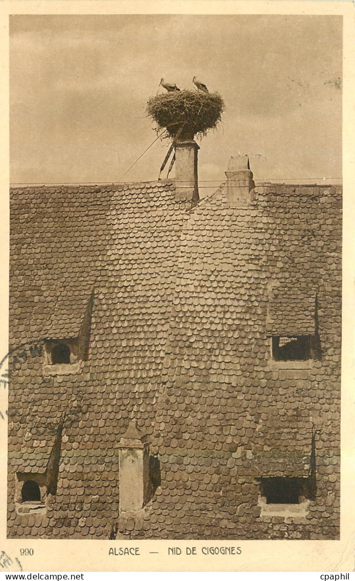 CPA Alsace Nid de Cigognes