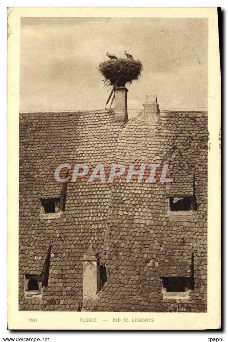CPA Alsace Nid de Cigognes
