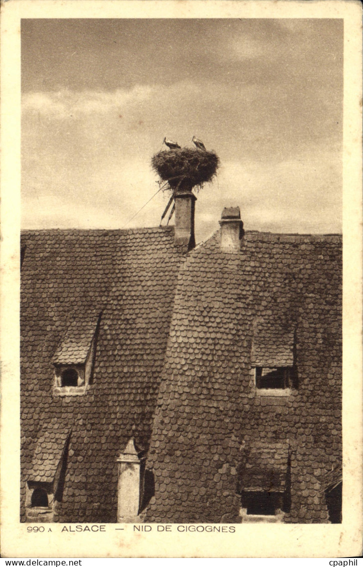 CPA Alsace Nid de Cigognes
