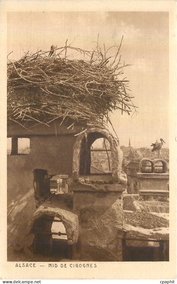 CPA Alsace Nid de Gigognes