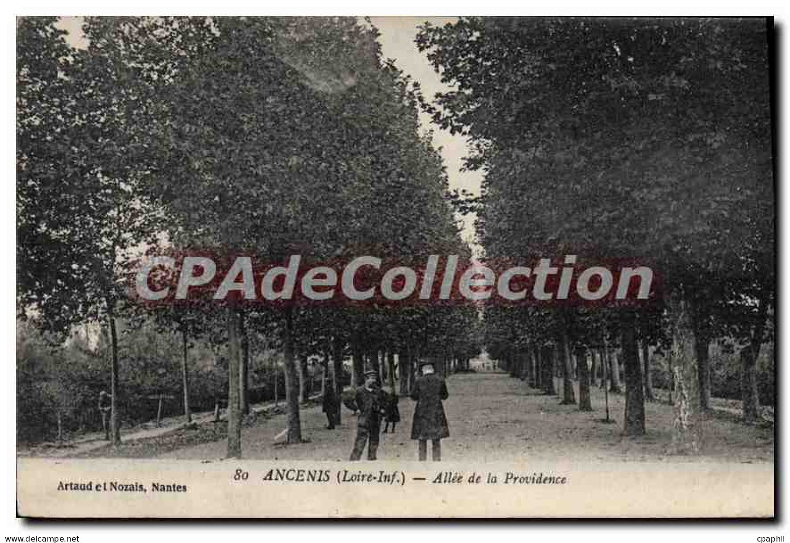 CPA Ancenis Allee De La Providence
