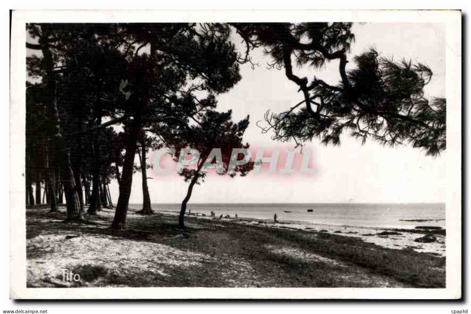 CPA Andernos les Bains Pins Rivant la Plage du Mauret