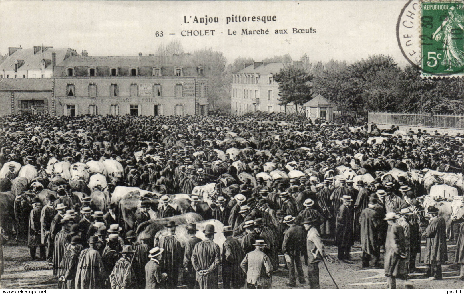 CPA Anjou Cholet Le marche aux boeufs TOP