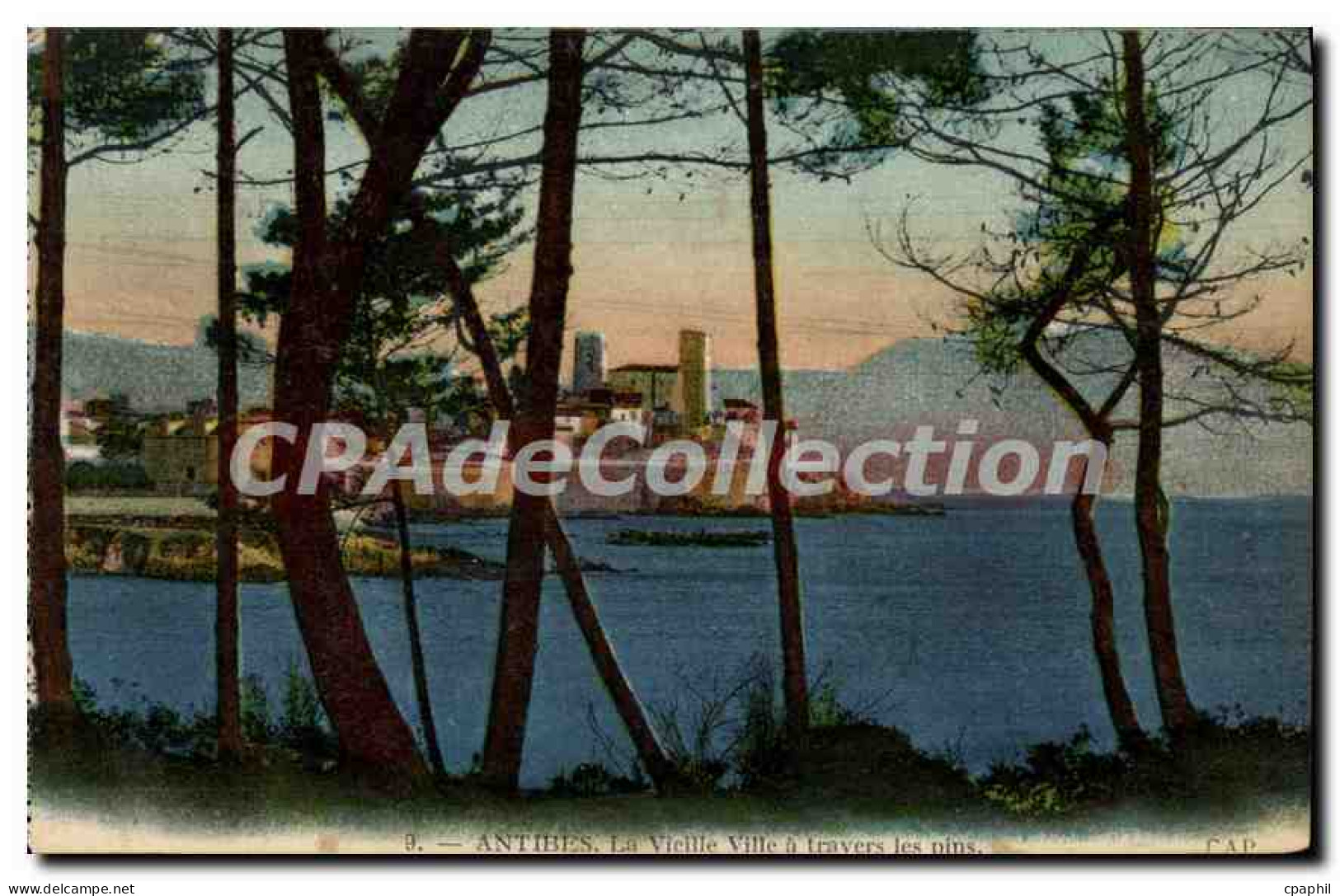 CPA Antibes La Vieille Ville A Travers Les Pins