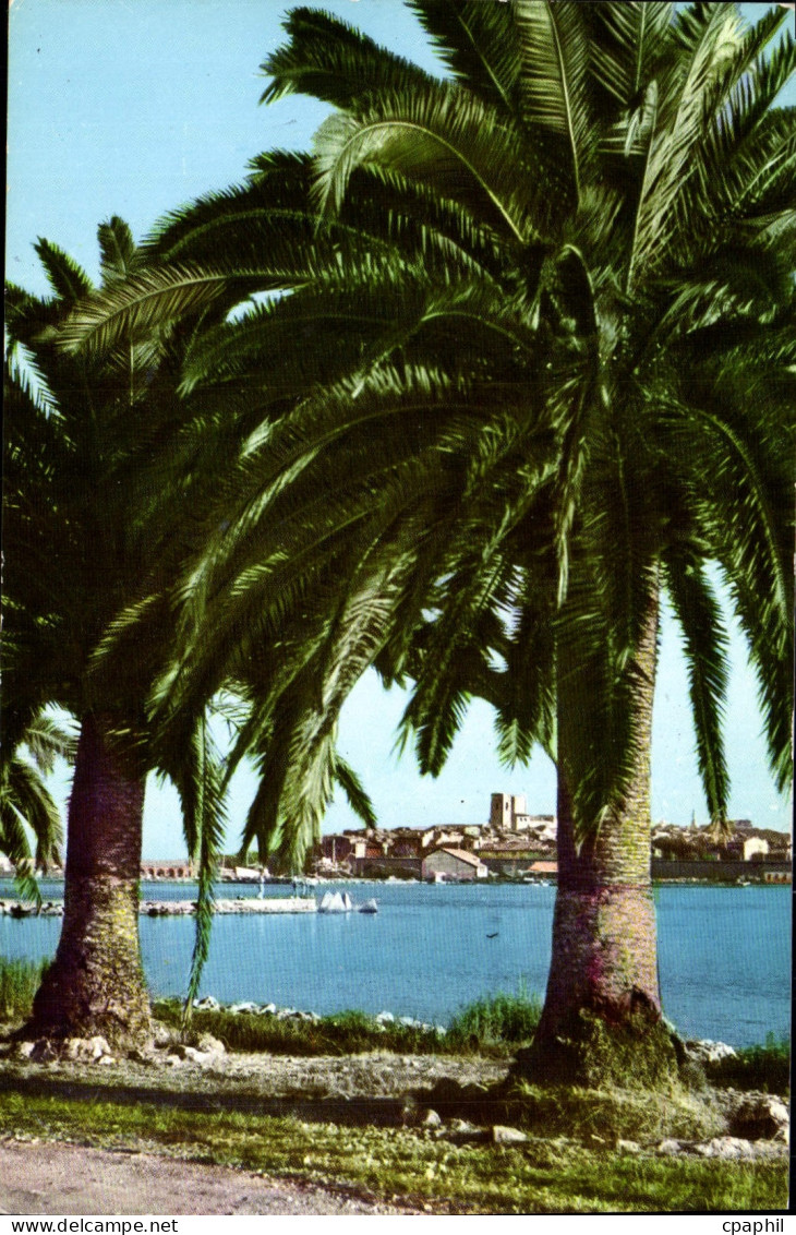 CPA Antibes Vue Sur La Vieille Ville