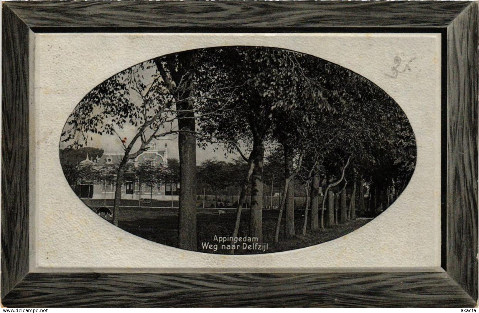 CPA APPINGEDAM Weg naar Delfzijl NETHERLANDS (706104)