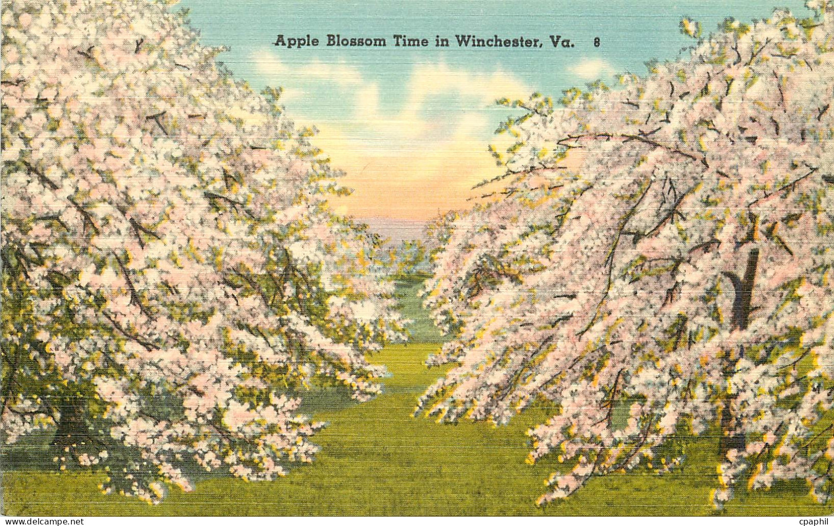 CPA Apple Blossom Time in Winchester