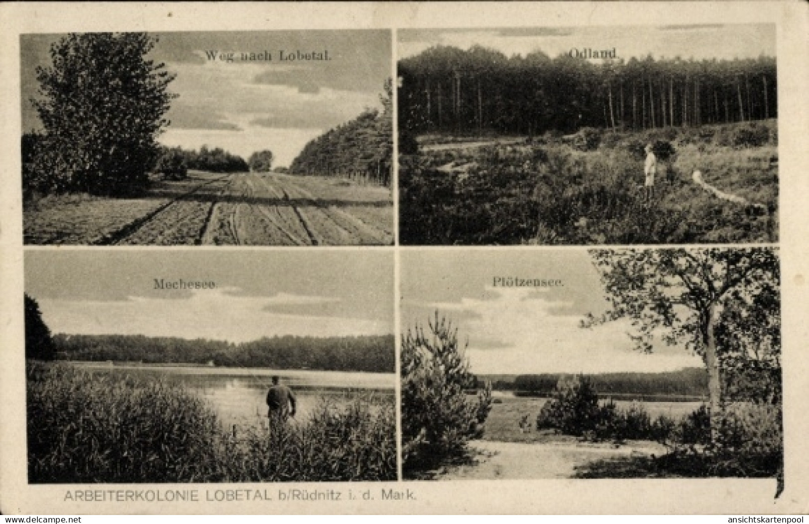 CPA Arbeiterkolonie Lobetal Bernau bei Berlin, Odland, Mechesee, Plötzensee