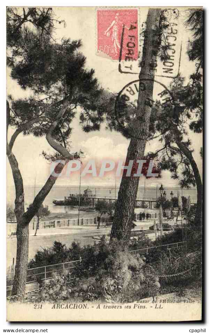 CPA Arcachon A Travers Les Pins