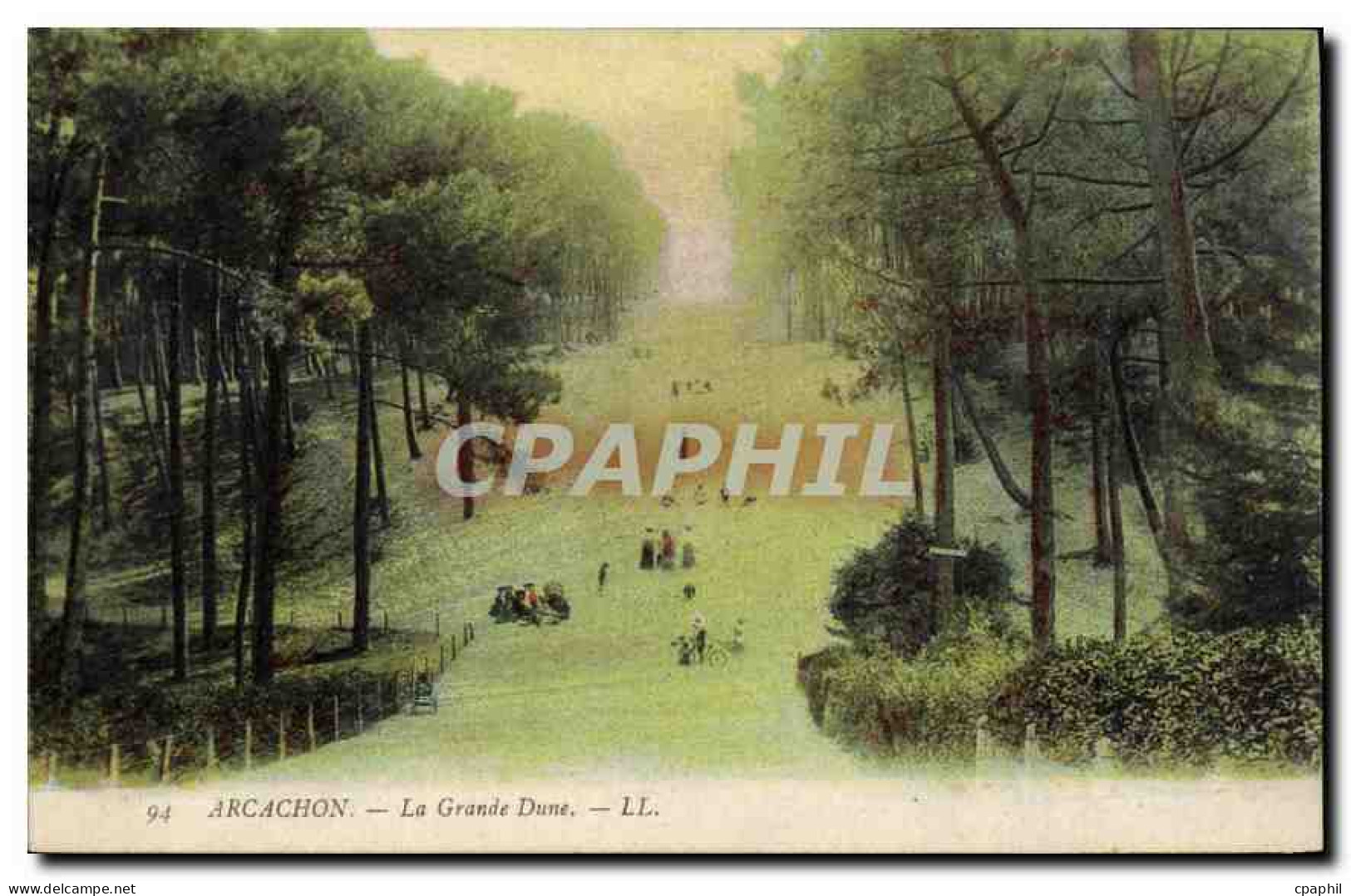 CPA Arcachon la Grande Dune