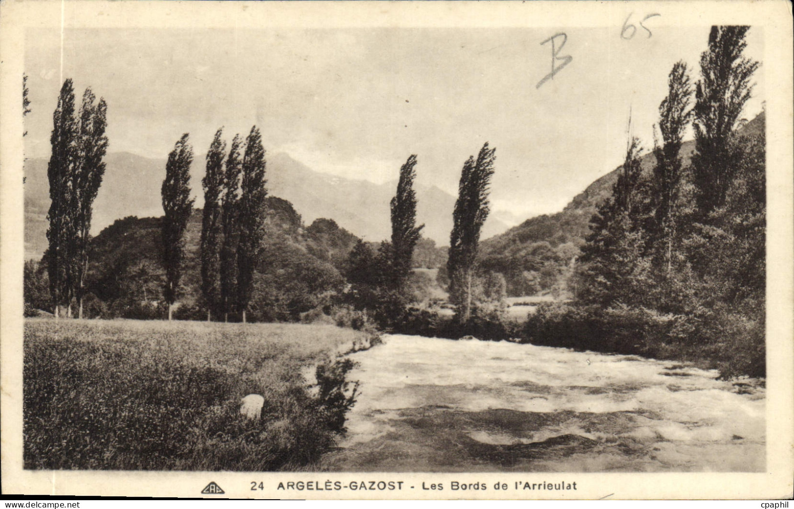 CPA Argeles Gazost les Bords de l'Arrieulat