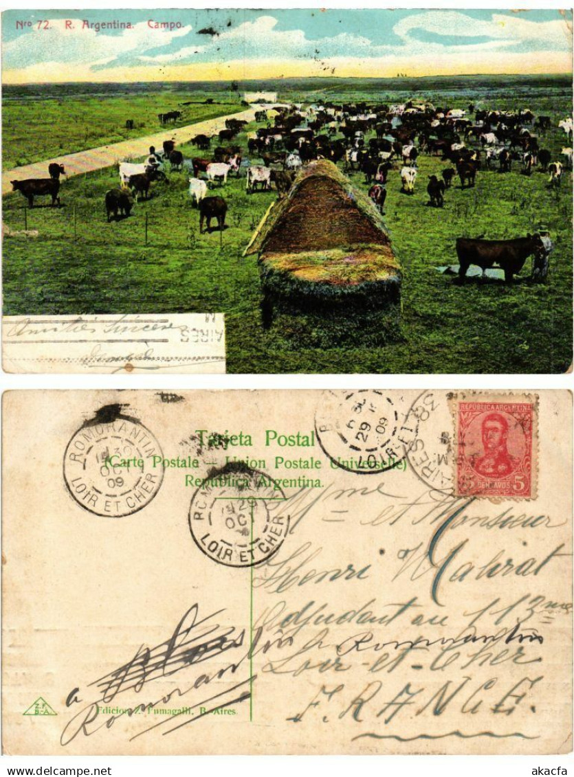 CPA ARGENTINA-Argentina, Campo (349871)