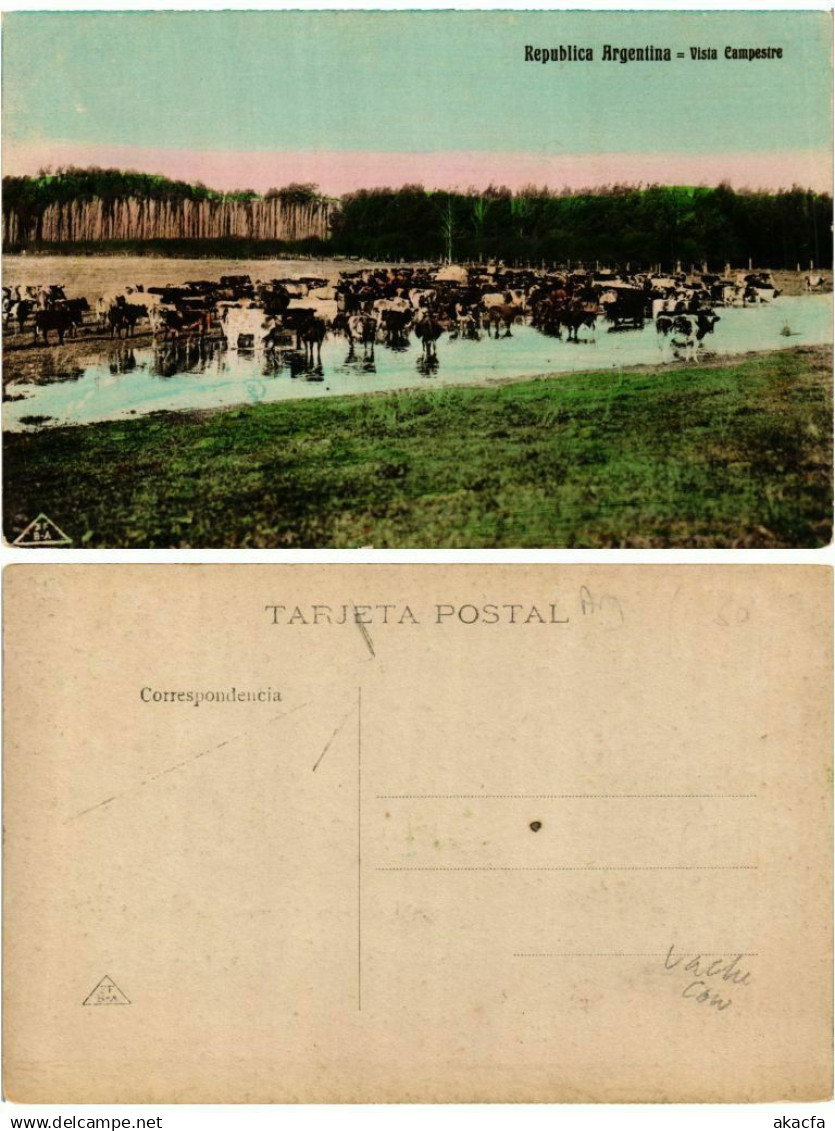 CPA ARGENTINA-Republica Argentina-Vista Campestre (349657)