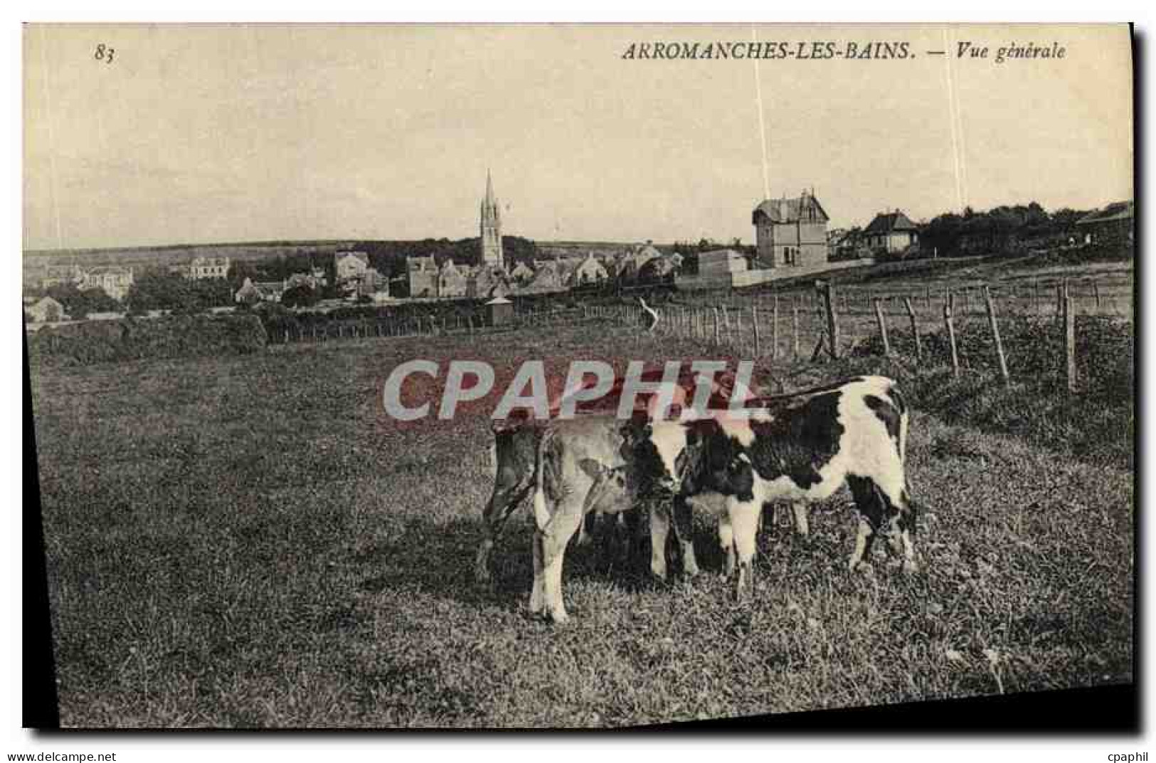 CPA Arromanches Les Bains Vue Generale Vaches