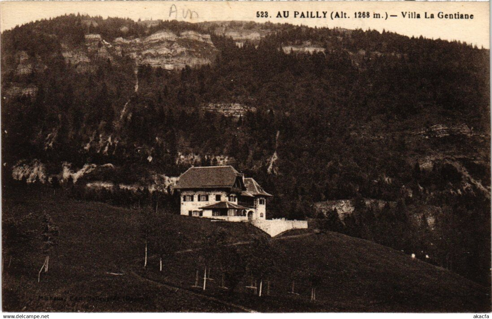 CPA Au Pailly Villa La Gentiane FRANCE (1335429)