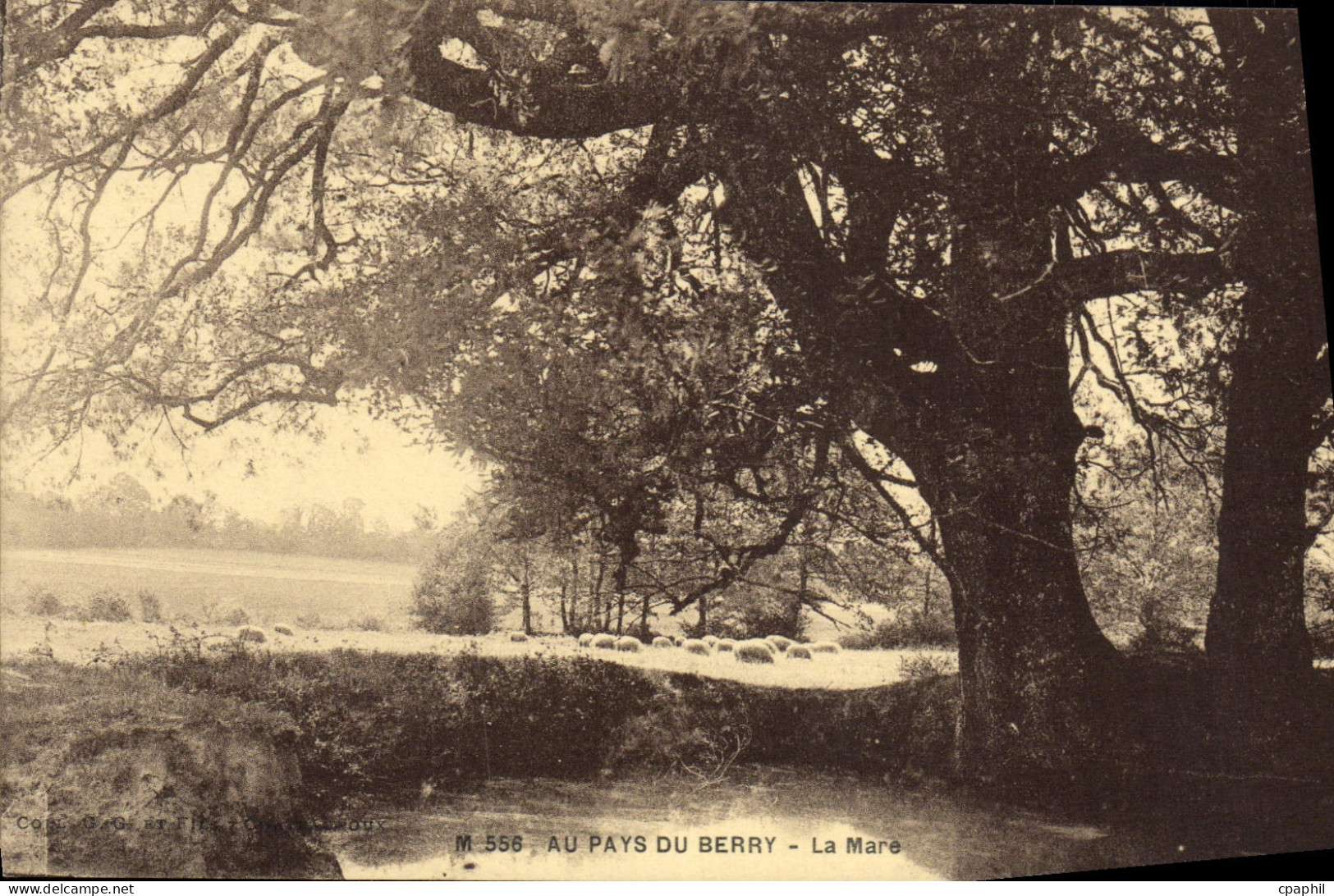 CPA Au Pays Du Berry La Mare