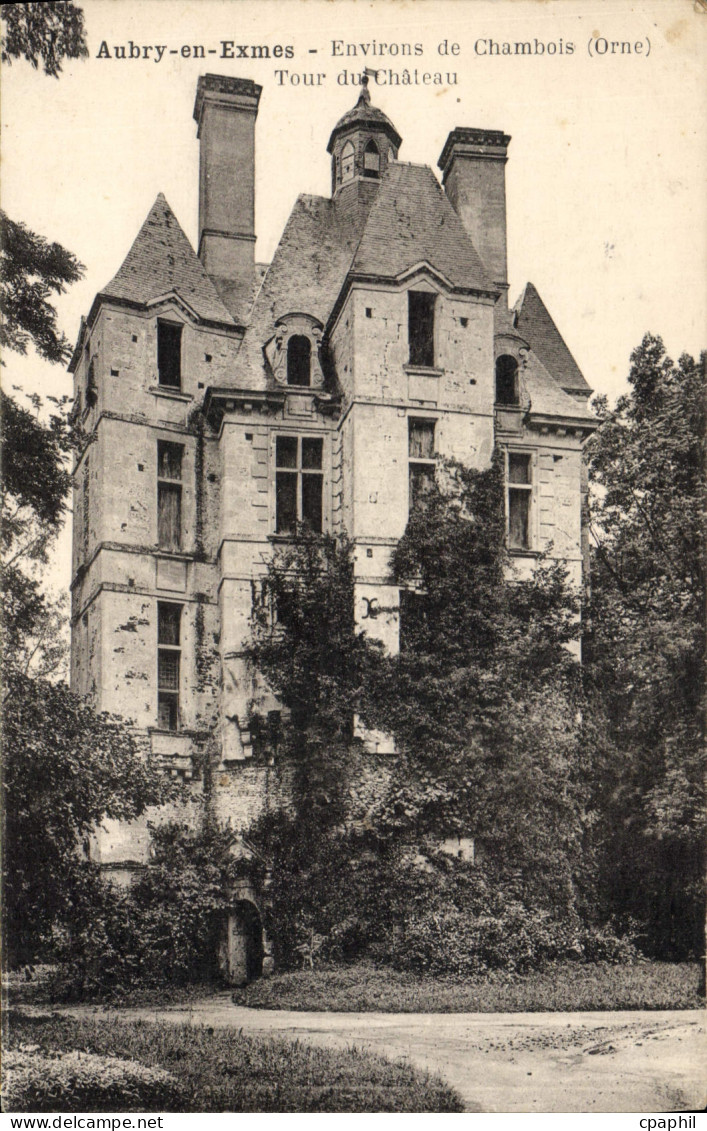 CPA Aubry en Exmes Environs de Chambois Tour du chateau