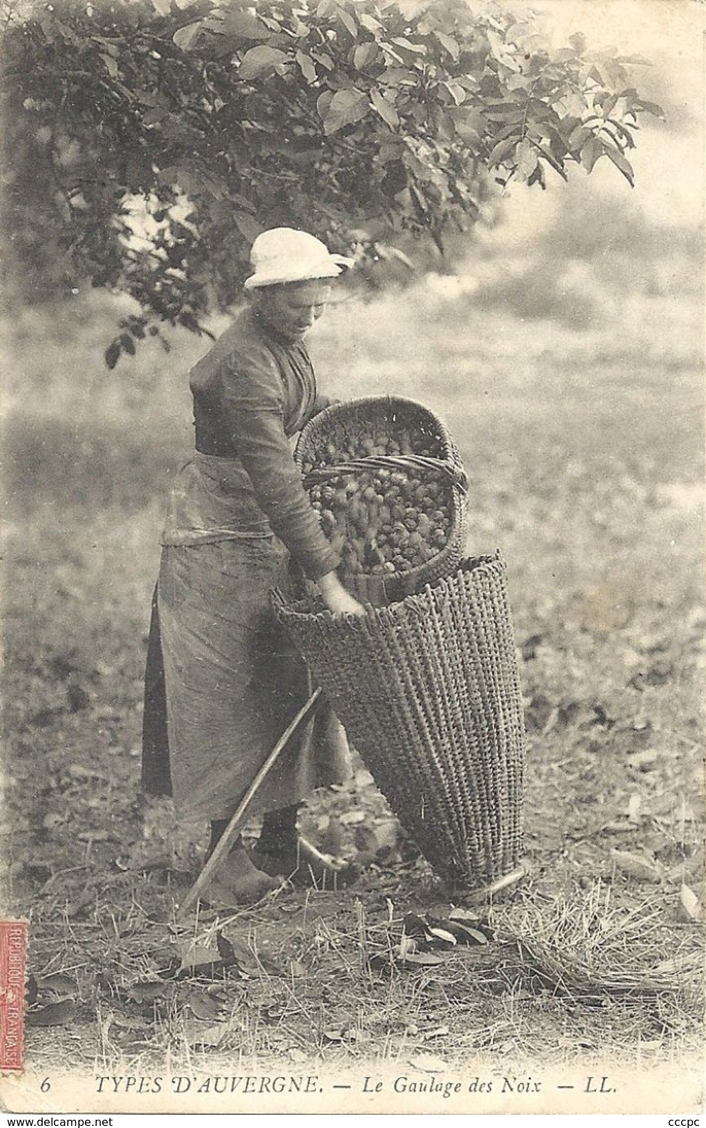 CPA Auvergne Le Gaulage des Noix