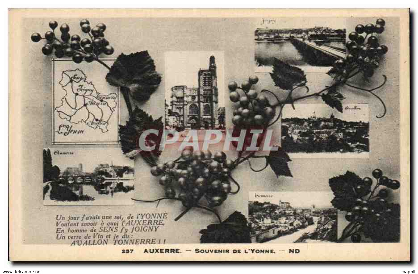 CPA Auxerre Souvenir de l'Yonne