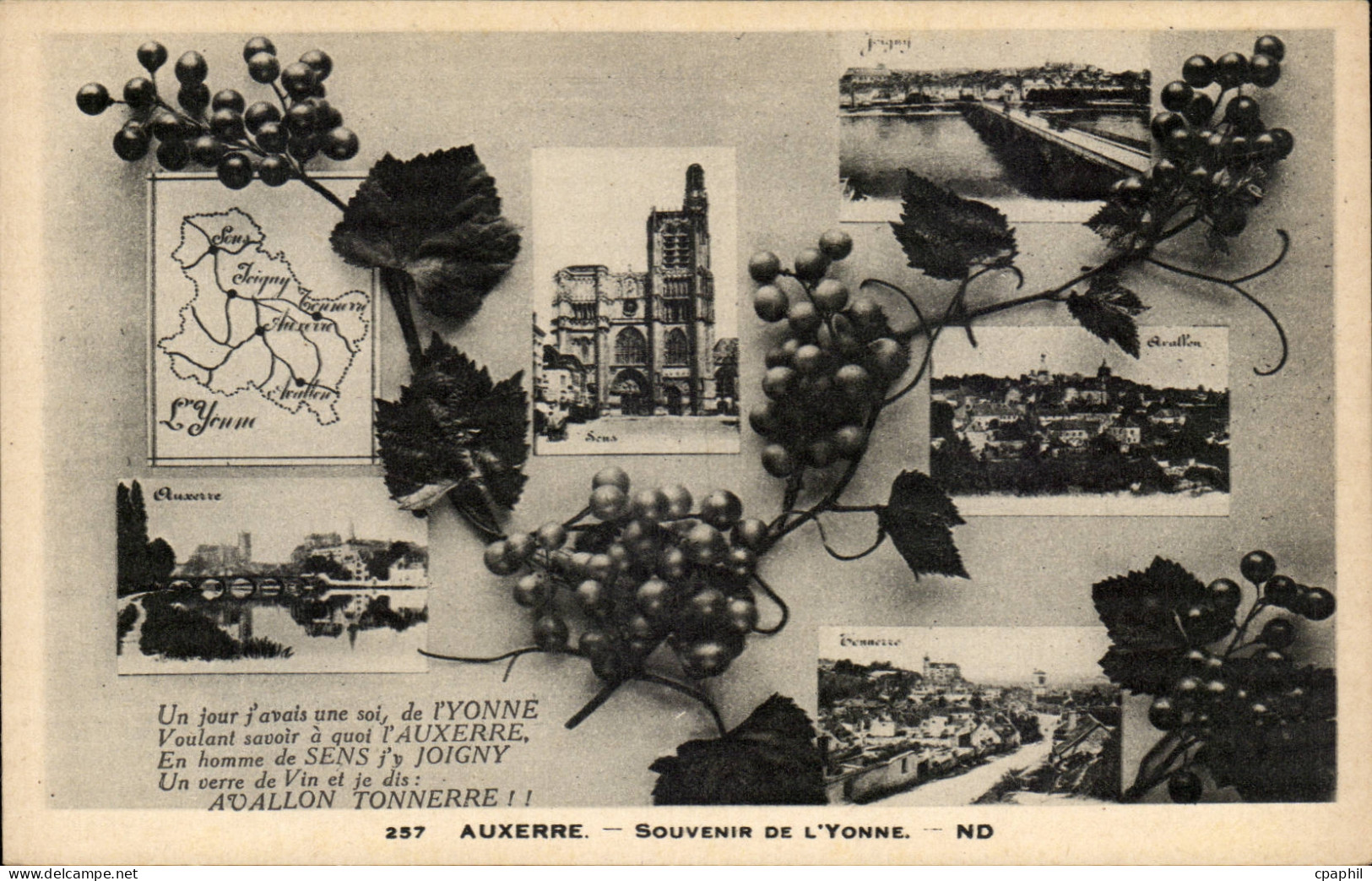 CPA Auxerre Souvenir de l'Yonne