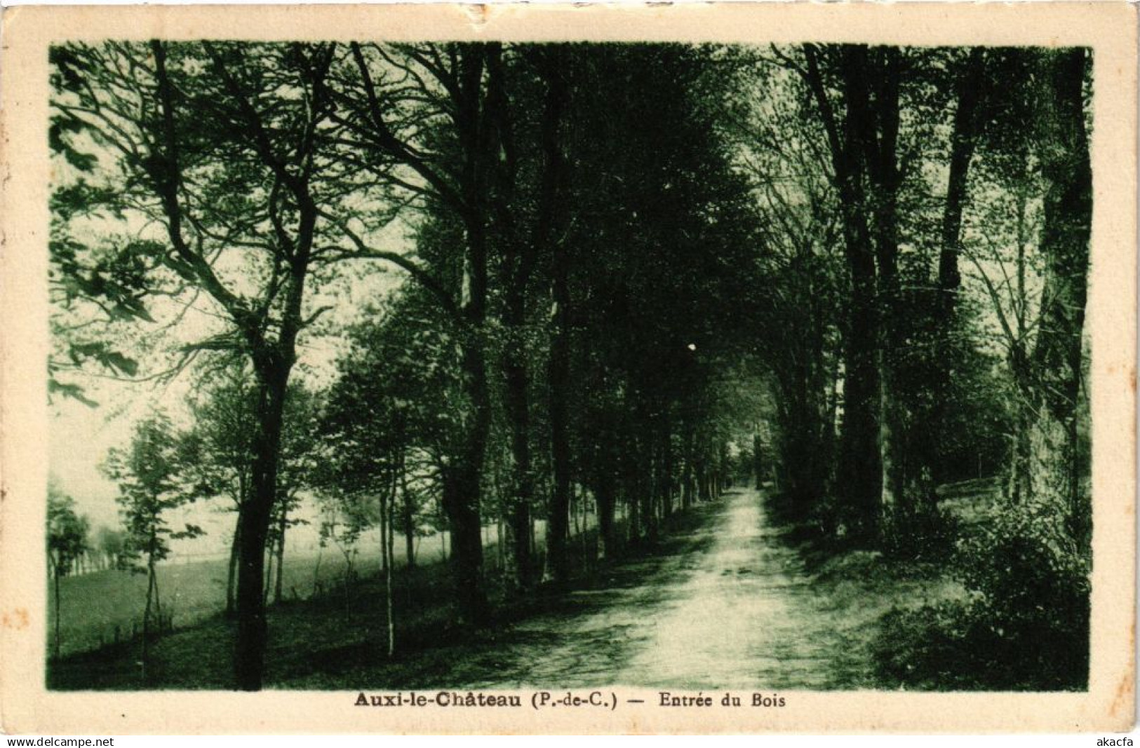 CPA AUXI-le-CHATEAU - Entrée DU BOIS (197650)