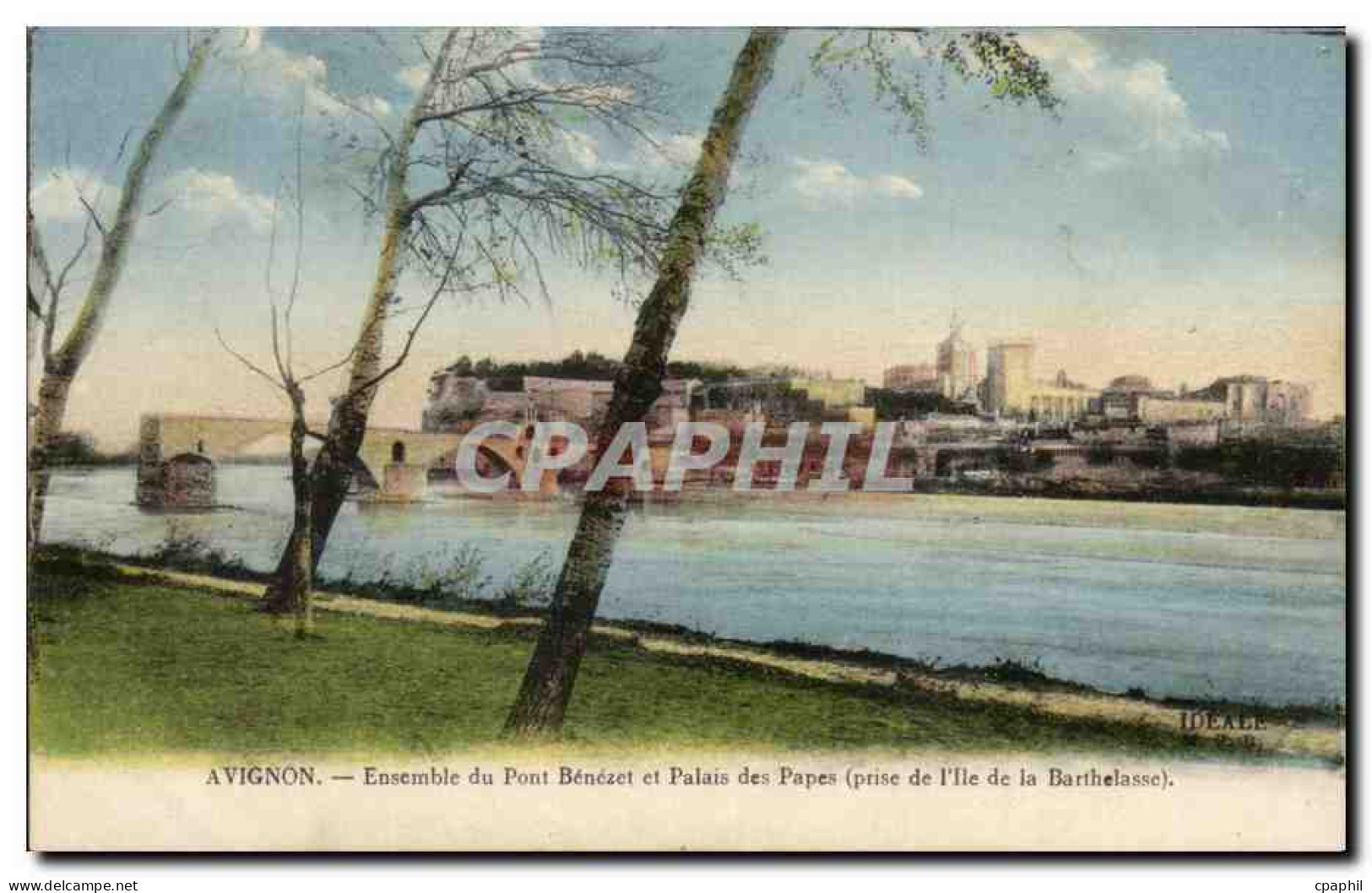 CPA Avignon Ensemble Du Pont Benezet El Palais Des Papes prise de l'ile de la Barthelasse