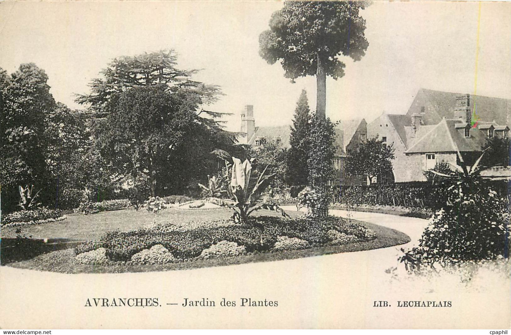 CPA Avranches Jardin des Plantes