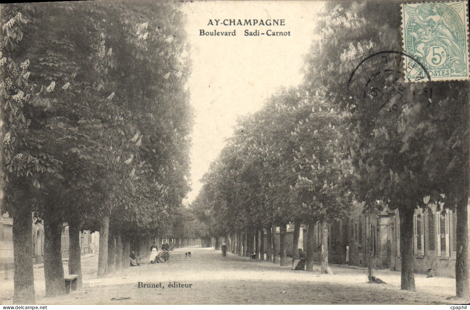 CPA Ay Champagne Boulevard Sadi Carnot