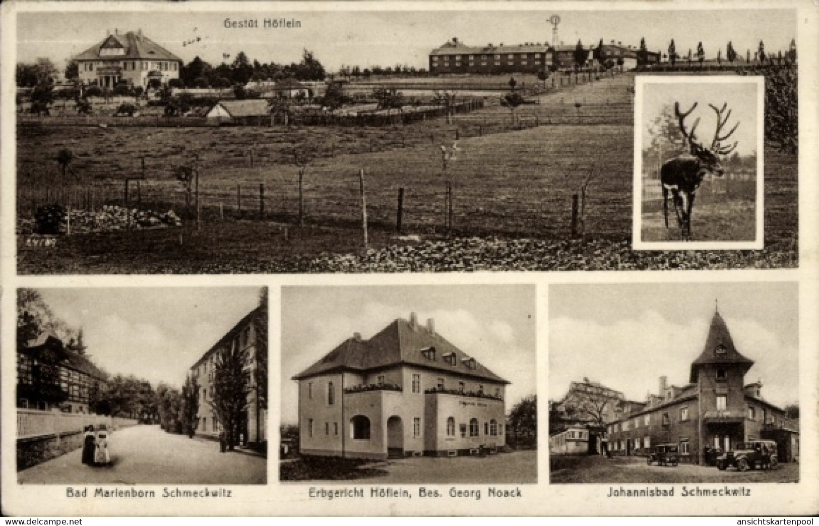 CPA Bad Marienborn Schmeckwitz Räckelwitz Oberlausitz, Gestüt Höflein, Bad Marienborn, Erbgericht,