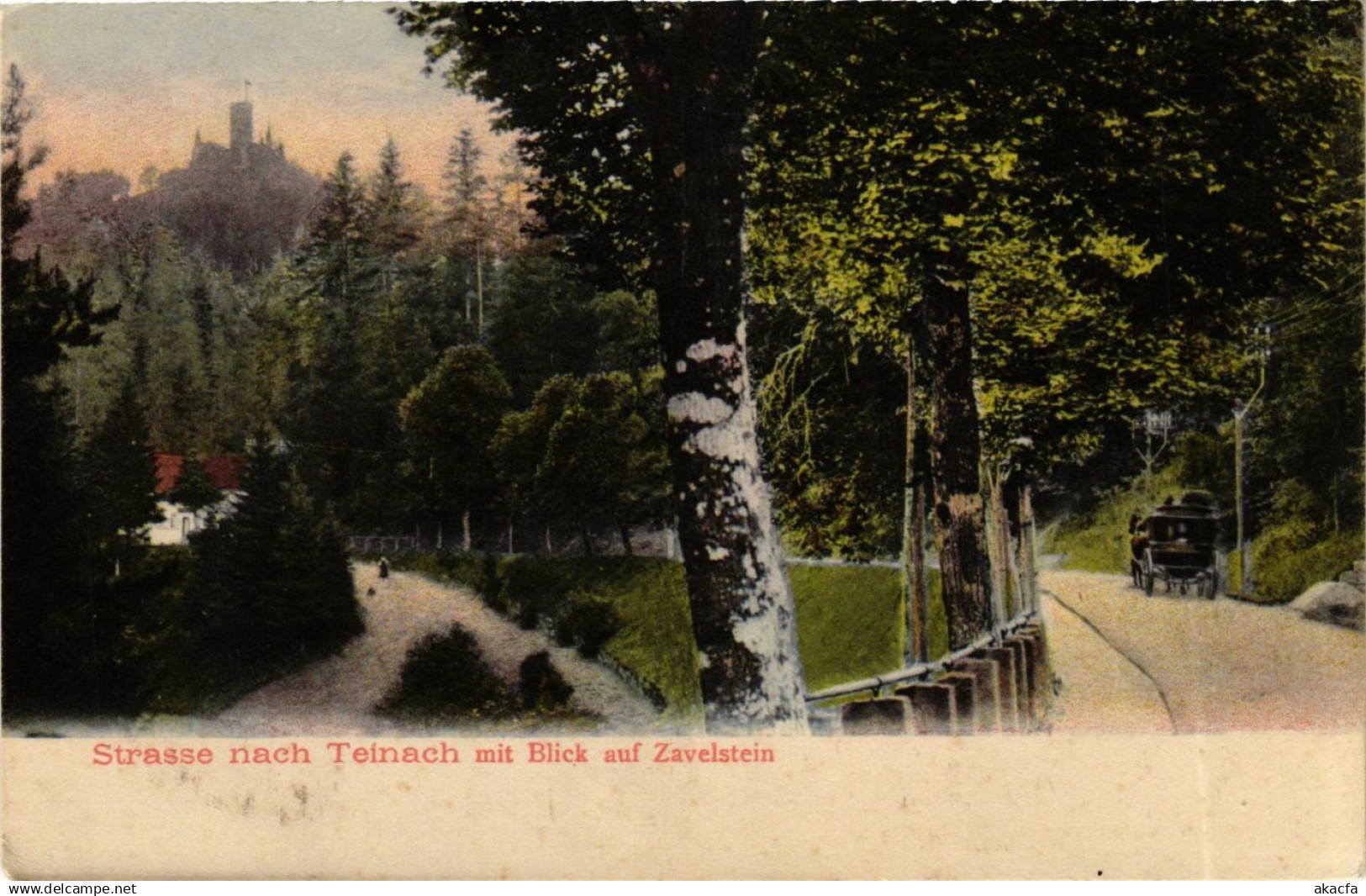 CPA Bad Teinach Strasse nach Teinach GERMANY (937020)
