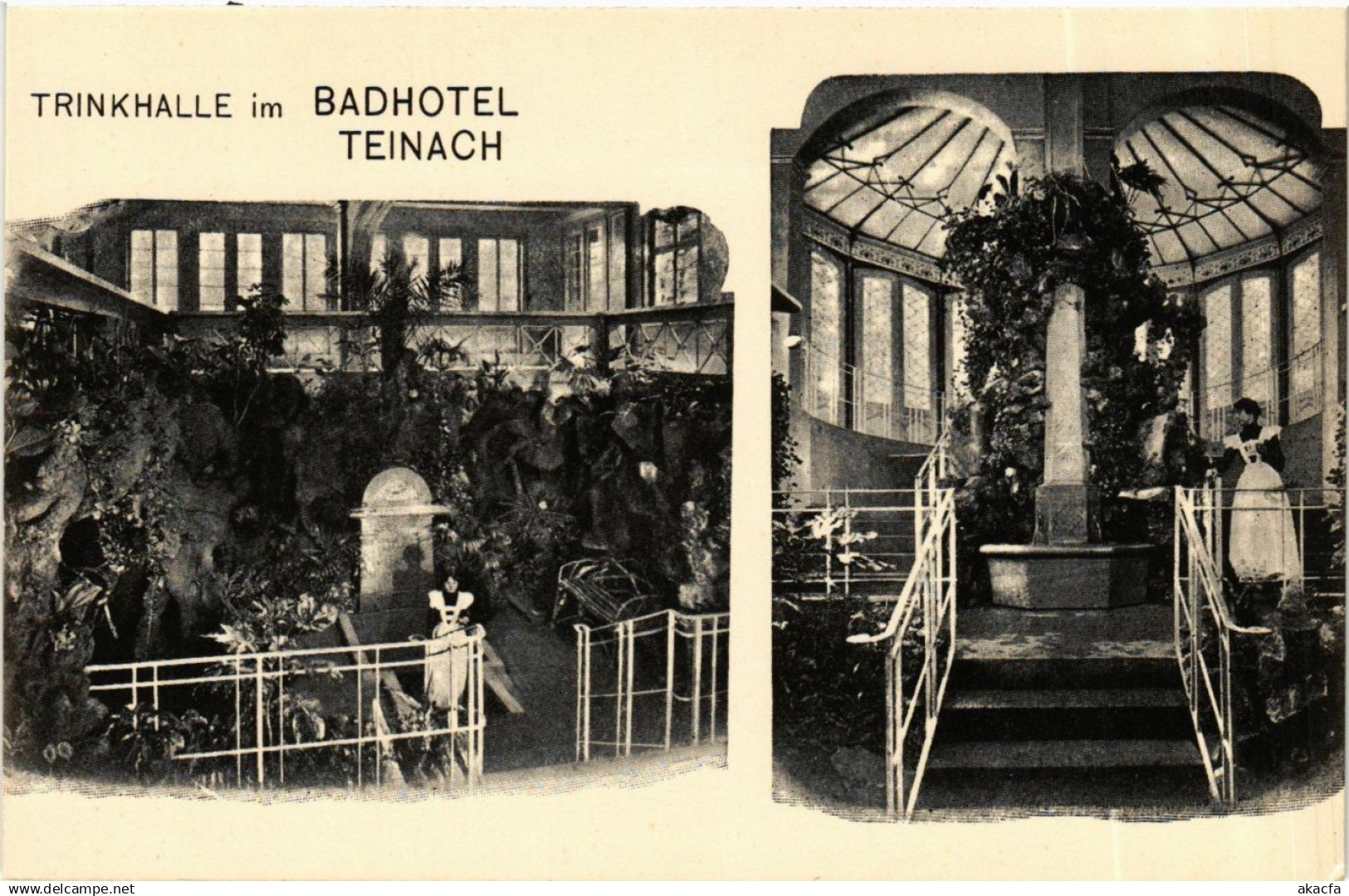 CPA Bad Teinach- Trinkhalle im Badhotel Teinach GERMANY (908214)