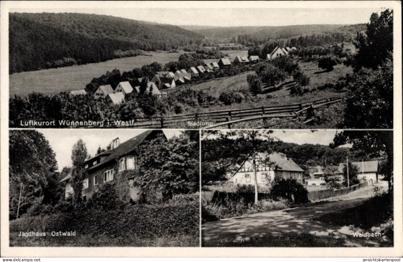 CPA Bad Wünnenberg in Westfalen, Siedlung, Jagdhaus Ostwald, Waldbach