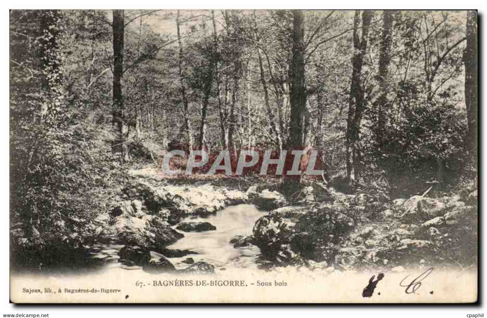 CPA Bagneres De Bigorre Sous bois